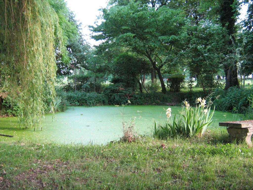 Domaine Des Parisses - Chambres D'Hotes Gennetines Pokoj fotografie